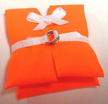 Life Vest, Assorted Colors