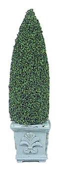 CCB0886, Topiary, Square Base