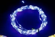 30 Led Light String, White