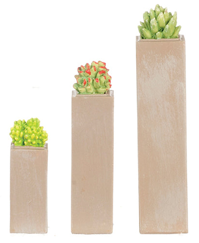 Succulent In Square Planter, 3pc