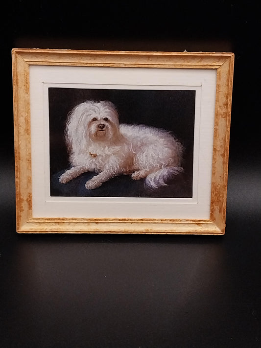 Print, White Dog, Framed