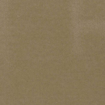 Beige Carpet, Large