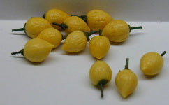 Lemons, 12 Pcs