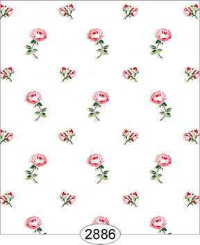 White with Pink Roses Wallpaper