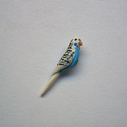 Parakeet, Blue