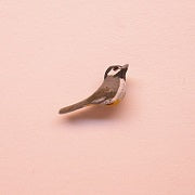 Chickadee Bird