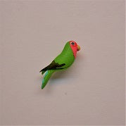 Lovebird