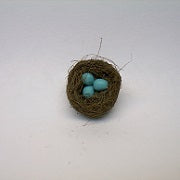 Bird Nest with Blue Eggs