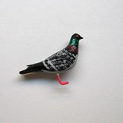 Pigeon