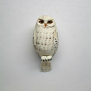 Snowy Owl, White