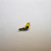 1/2" Scale Goldfinch Bird