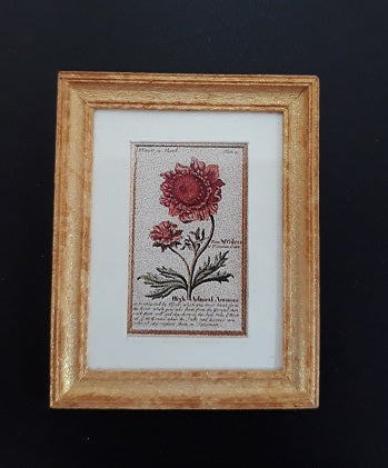 Framed Print, Marigolds, H