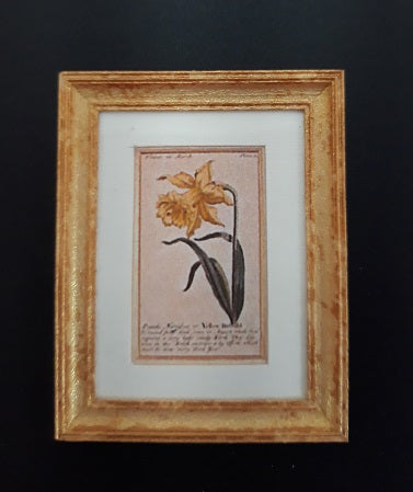 Framed Print, Daffodils, B