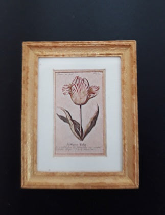 Framed Print, Small Flower, K