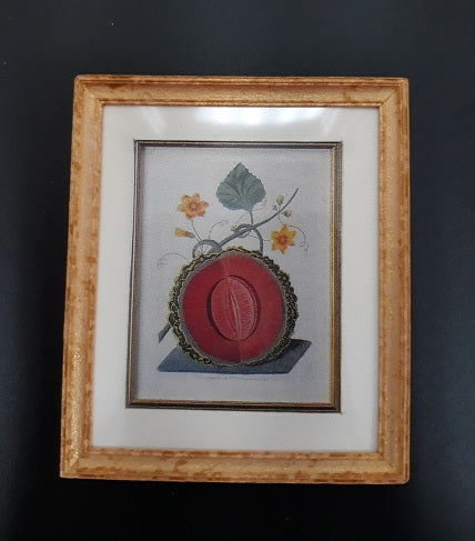 Framed Print, 1/2 Cut Melon, A