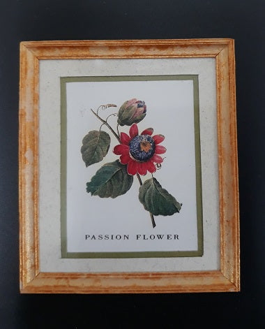 Framed Print, Passion Flower, N