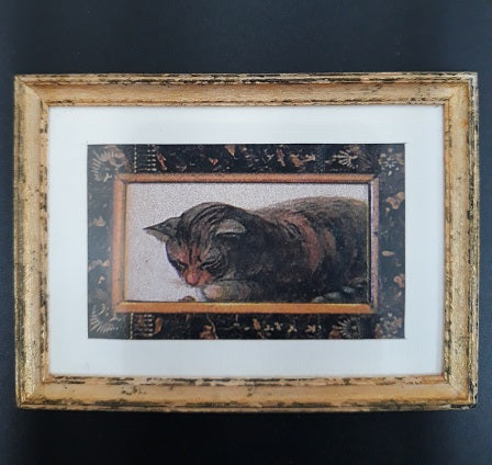 Framed Print, Cat Sleeping