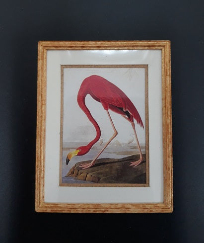 Framed Matte Print, Flamingo