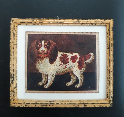 Framed Print, Spaniel Dog