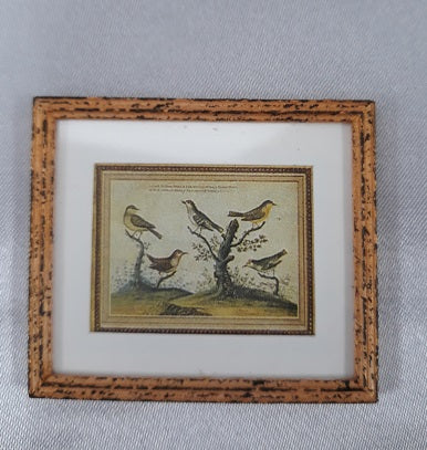 Framed Print, Birds on Branch, B