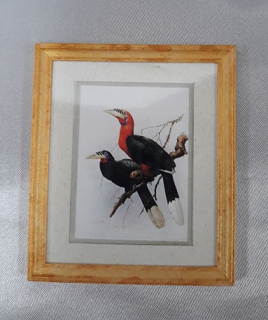 Framed Print, Red Neck Birds