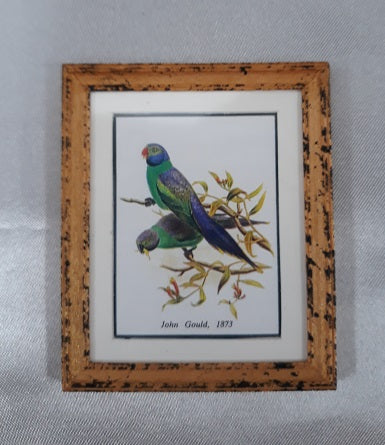 Framed Print, Parrots