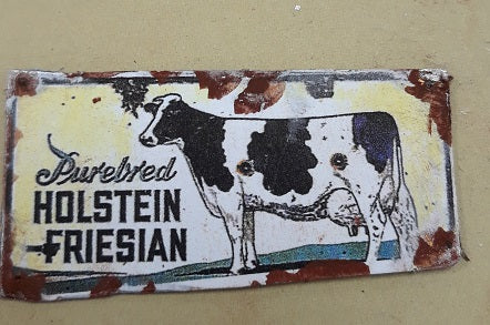 Holstein Friesian Sign, Rusty