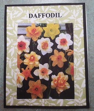 Daffodil Flower Kit