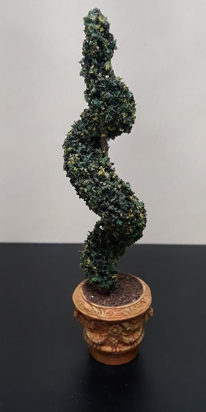 Spiral Topiary, Aged Pot