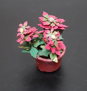 Red Poinsettia in Clay Pot