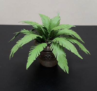 Ferns in Round Aged Pot