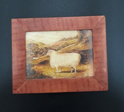 Framed Print, Sheep