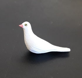 White Dove