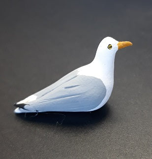 Seagull Bird