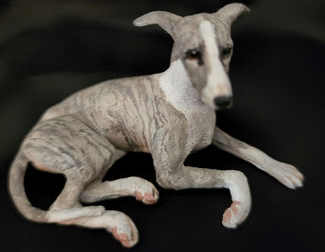 Gray Whippet Laying