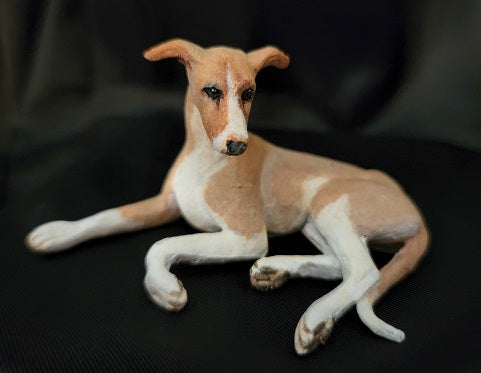 Fawn Whippet Laying