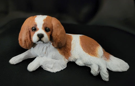 Cavalier Spaniel, Laying