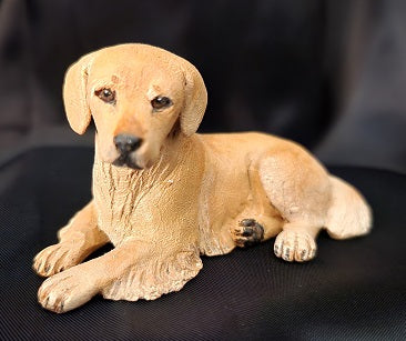 Golden Retriever, Laying