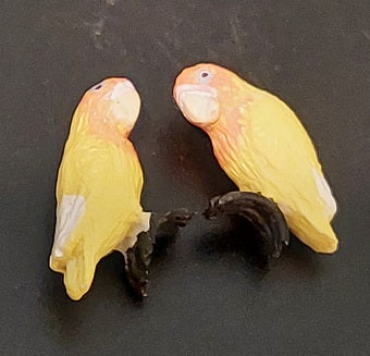 Love Birds, Yellow, Pair