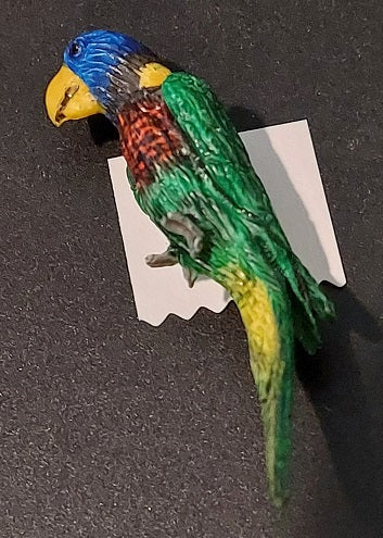 Green Nape Lorikeet Bird