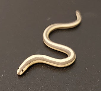 Snake, Green, Yellow