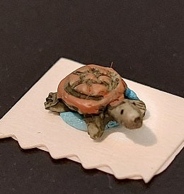 Small Turtle