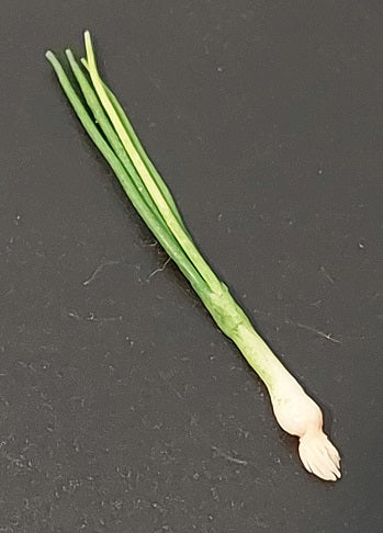 Green Onion, 1 piece