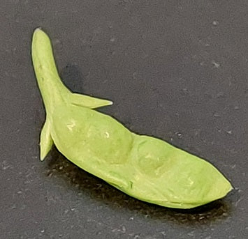 Green Pea Pod, 1 piece
