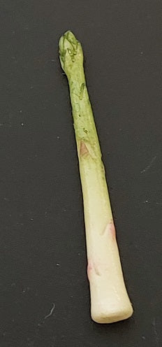 Asparagus Stalk