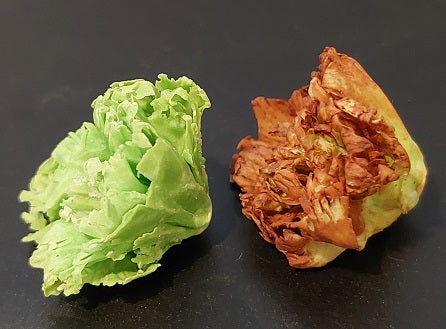 Head of Lettuce, Assorted, 1pc