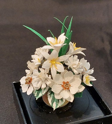 Low Floral Arrangement in Pot, White Magnolia