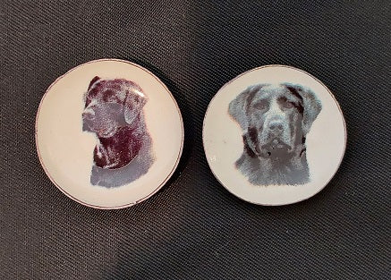 Dog Plate, Black Lab, Assorted