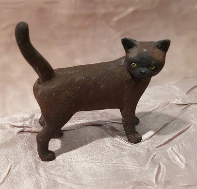 Burmese Cat, Dark Brown, Standing