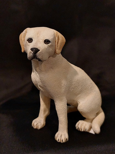 Yellow Lab Dog, Sitting